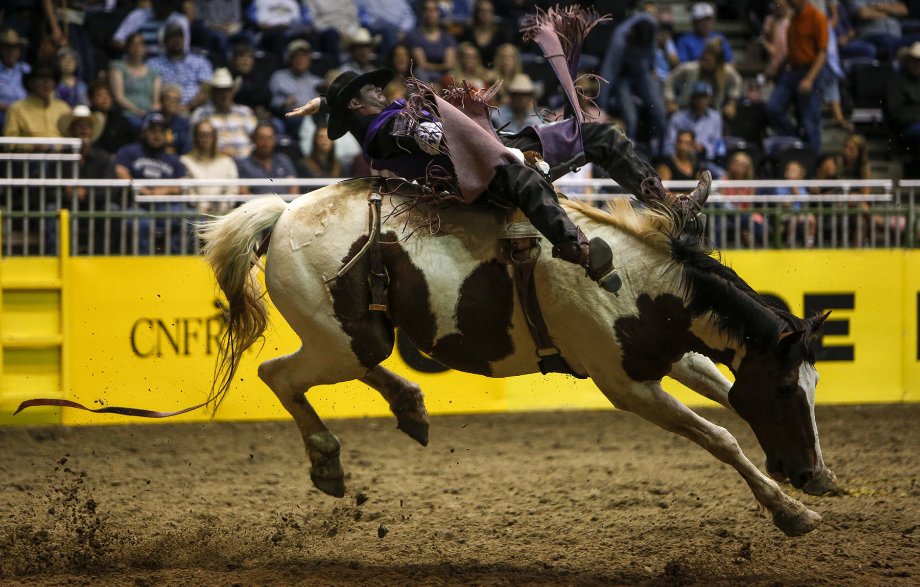 CNFR Tuesday